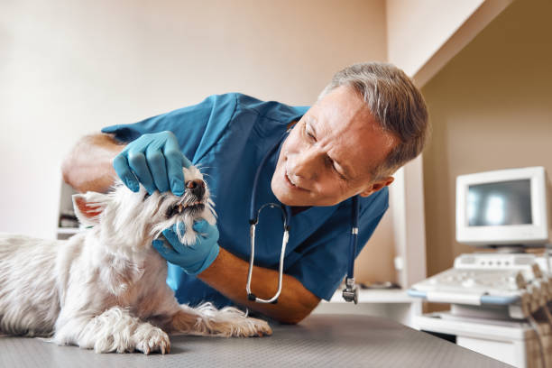 Best Emergency Tooth Extraction in Rock Hill, SC